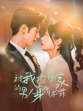 被我捡回家的男人身价不菲高清海报