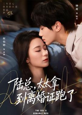 陆总太太拿到离婚证跑了