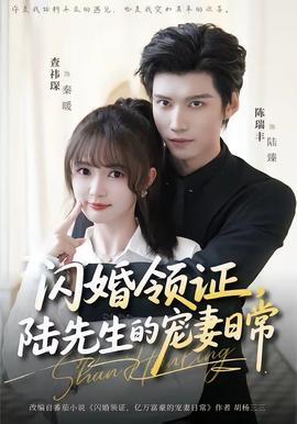闪婚领证陆先生的宠妻日常