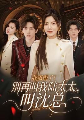 我离婚了！别再叫我陆太太叫沈总