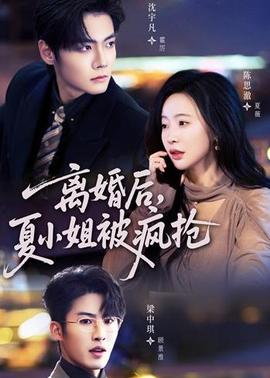 离婚后夏小姐被疯抢