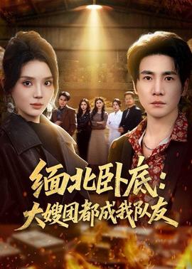 缅北卧底大嫂团都成我队友