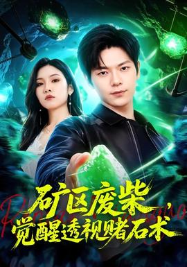矿区废柴觉醒透视赌石术