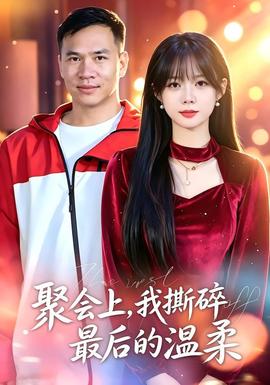 聚会上我撕碎最后的温柔