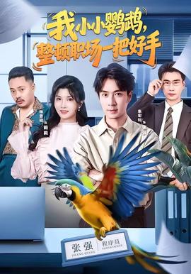 我小小鹦鹉整顿职场一把好手