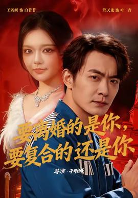 要离婚的是你要复合的还是你