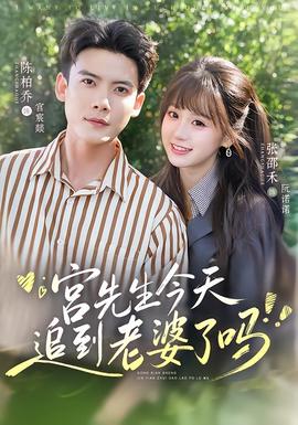 宫先生今天追到老婆了吗