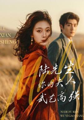 陆先生你的夫人武艺高强