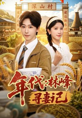 年代林峰寻妻记