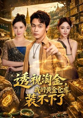 透视淘金我的黄金仓库装不下了