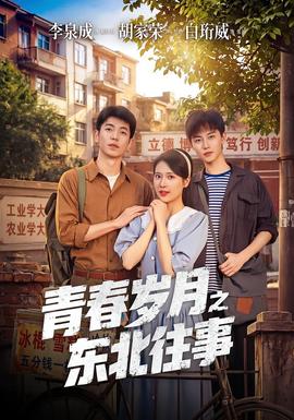 青春岁月之东北往事