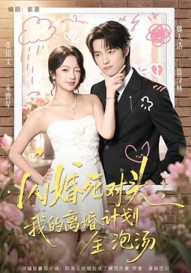 闪婚死对头，我的离婚计划全泡汤