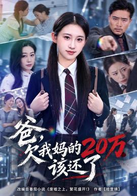 爸，欠我妈的20万该还了海报