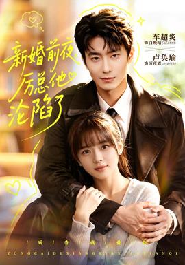 新婚前夜厉总他沦陷了